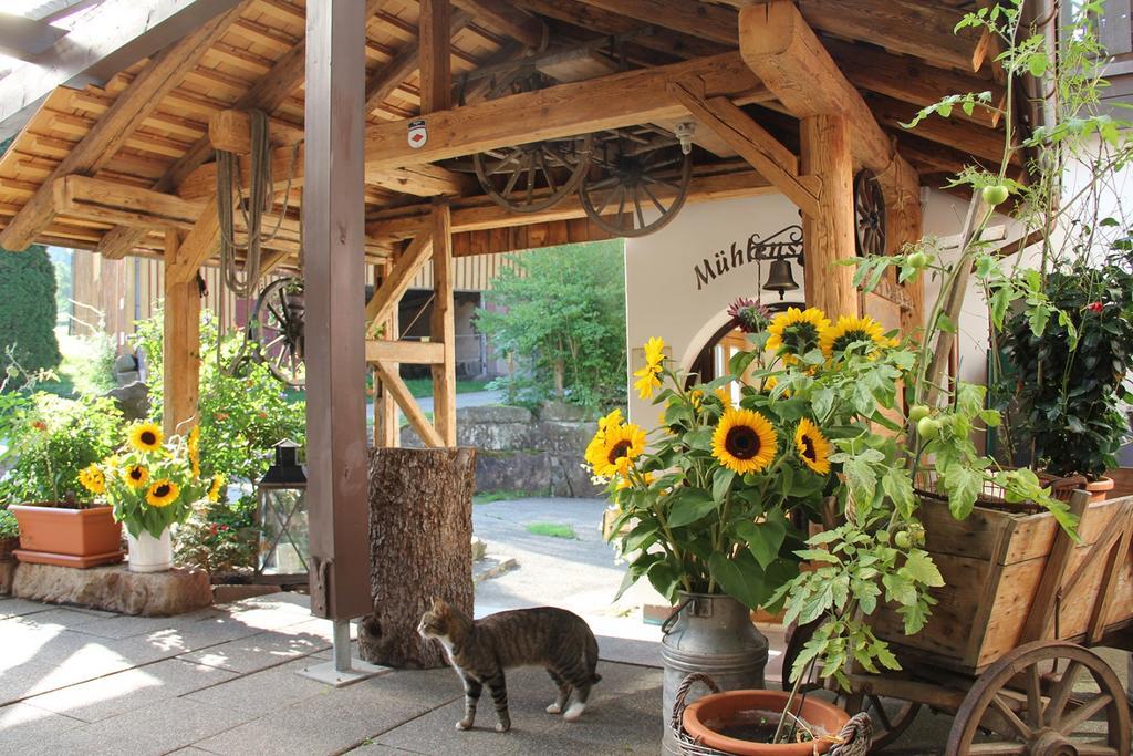 Landgasthof Untere Muehle Alpirsbach Esterno foto